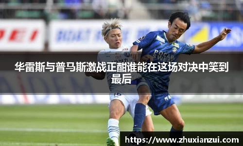 星空体育