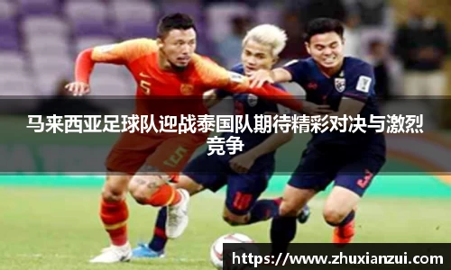 星空体育网站入口