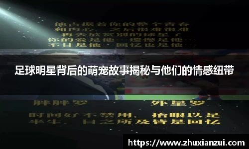 星空体育网站入口