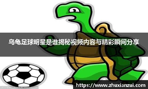 乌龟足球明星是谁揭秘视频内容与精彩瞬间分享